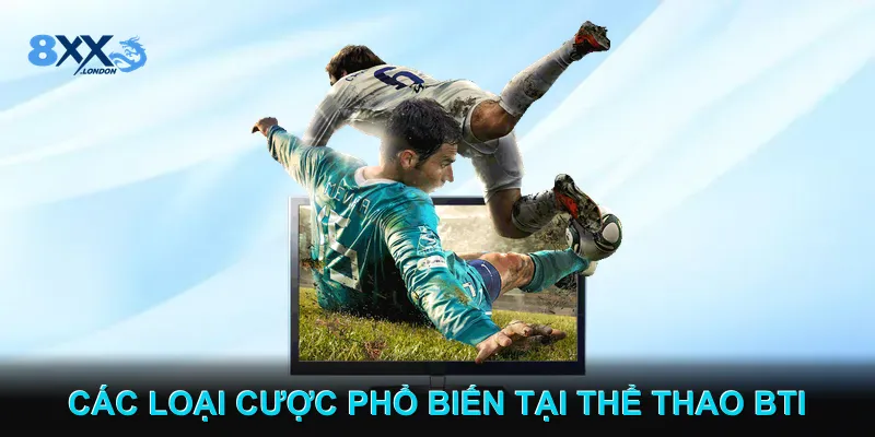 Các loại cược phổ biến tại Thể thao BTI