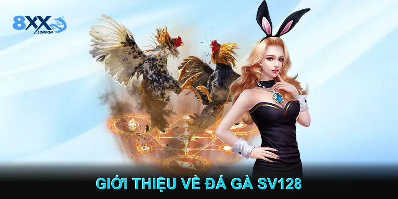 Giới Thiệu Về Đá gà SV128